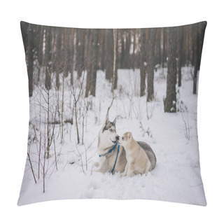 Personality  Husky Dogs Pillow Covers