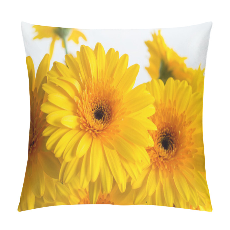 Personality  Yellow gerbera flowers pillow covers
