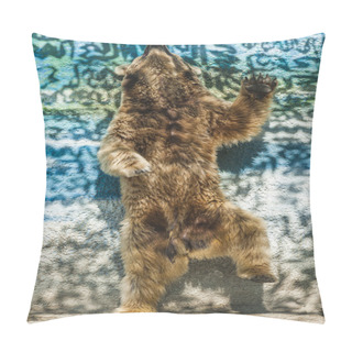 Personality  Brown Bear Dancing In Russian Zoo Pillow Covers