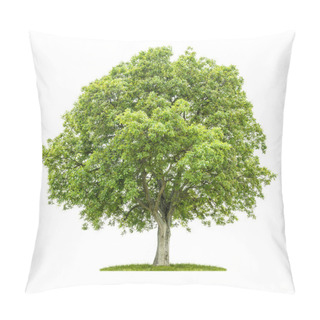 Personality  Old Walnut Tree On A White Background Pillow Covers