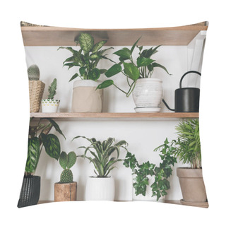 Personality  Stylish Wooden Shelves With Green Plants And Black Watering Can. Pillow Covers