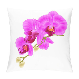 Personality  Stem With Flowers And  Buds Beautiful Orchid Phalaenopsis Purple  Closeup  On A White Background Vintage  Vector Vector Illustration Editable  Hand Draw Pillow Covers