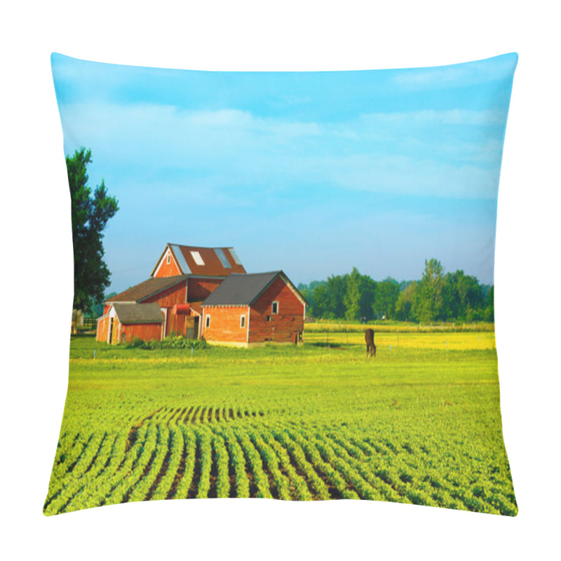 Personality  Farm building pillow covers