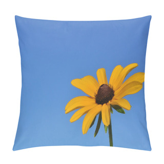 Personality  Black-Eyed Susan (Rudbeckia Hirta) Pillow Covers