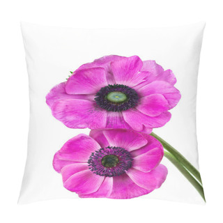 Personality  Beautiful Purple Anemone Flower Pillow Covers