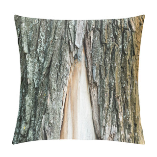Personality  Close Up View Of Rough Bark Of Old Tree, Ecology Concept Pillow Covers