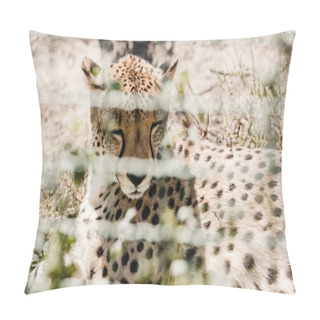 Personality  Selective Focus Of Leopard Resting On Grass Near Cage  Pillow Covers