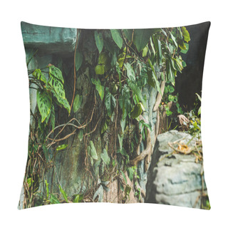 Personality  Way Into Cave In Jungle Covered With Green Leaves Pillow Covers