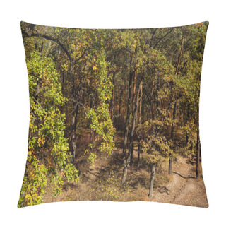 Personality  Scenic Autumnal Forest And Path In Sunlight Pillow Covers