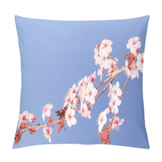 Personality  Sakura Pink Japanese Cherry Blossom Branch Pillow Covers