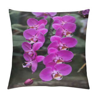 Personality  Close Up View Of Purple Bright Orchid Flowers With Big Petals Pillow Covers