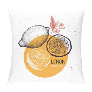 Personality  Lime Vintage Design Template. Botanical Illustration. Engraved Vector Drawing. Citrus Fruit. Pillow Covers
