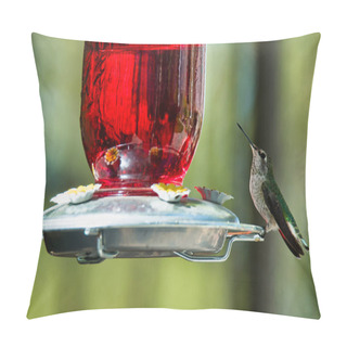Personality  Hummingbird Drinks From A Glass Feeder In A Backyard Garden Pillow Covers