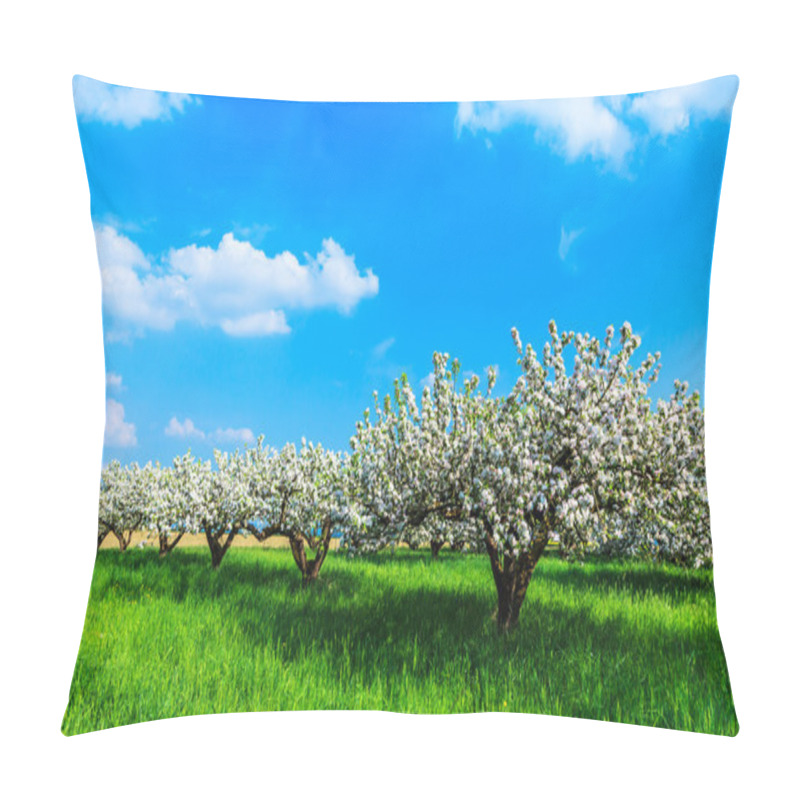 Personality  Blooming Apple Trees Pillow Covers