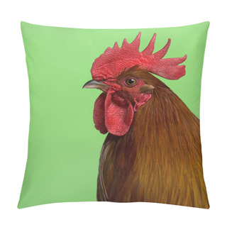 Personality  Headshot Of Ardennaise Rooster Against Green Background Pillow Covers