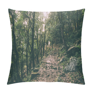 Personality  Beautiful Trees And Rocky Footpath In Indian Himalayas, Dharamsala, Baksu Pillow Covers
