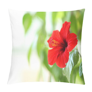 Personality  Beautiful Hibiscus Flower Pillow Covers