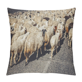 Personality  Herd Of Adorable White Sheep Walking On Road, Armenia Pillow Covers