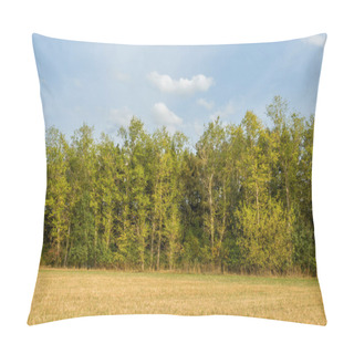 Personality  Autumn Field With Trees, Sky With Clouds. A Clear And Serene Day Pillow Covers