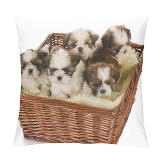 Personality  Litter Of Puppies Pillow Covers