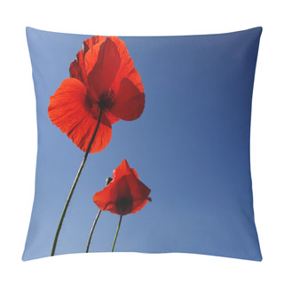 Personality  Poppies Over Blue Sky Pillow Covers