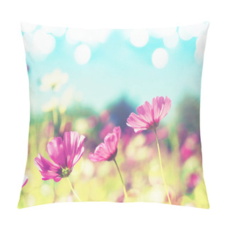 Personality  Pink Cosmos Blooming Over Clear Blue Sky  Pillow Covers