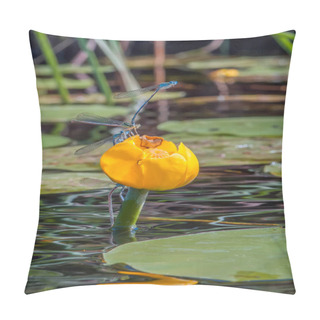 Personality  A Group Of Blue Dragonflies Sits On Yellow Water Lilies. Pillow Covers