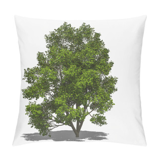 Personality  Sorbus Aucuparia (summer) Pillow Covers