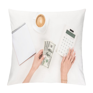 Personality  Businesswoman And Dollar Banknotes At Workplace     Pillow Covers