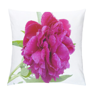 Personality  Peony Pillow Covers