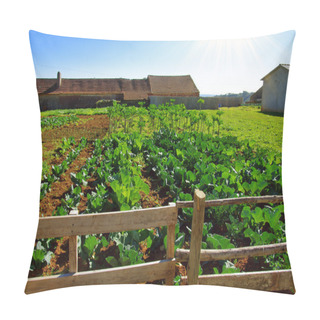 Personality  Vegetable Farm Pillow Covers