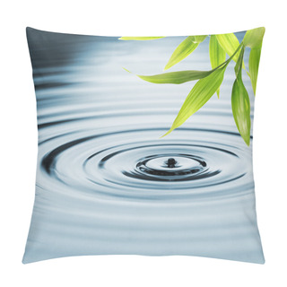 Personality  Fresh Bamboo Leaves Over Water Pillow Covers