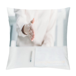 Personality  Businesswoman With Document On Tabletop Pillow Covers