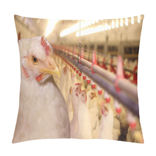Personality  Chicken Farm Pillow Covers