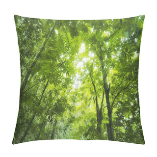 Personality  Forest Sunlight Pillow Covers