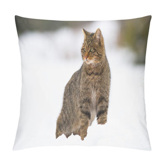 Personality  Dominant European Wildcat, Felis Silvestris On Snow In Winter Pillow Covers