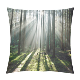 Personality Sun Rays In A Fog In A Misty Forest Pillow Covers