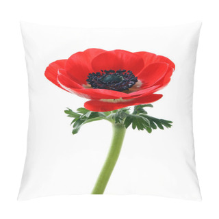 Personality  Anemone Flower Pillow Covers