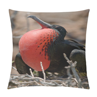 Personality  Frigate Bird On A Nest Pillow Covers