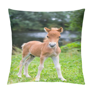 Personality  Mini Horse Falabella Pillow Covers