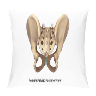 Personality  Human Pelvis Skeleton Pillow Covers