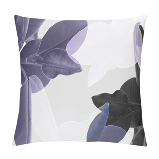 Personality  Multiple Exposure Of Ficus  Pillow Covers