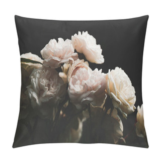 Personality  Fragile Light Cream And Pink Roses On A Dark Contrasting Background. The Flowers Have Light Pink Lush Petals, Beautiful Flower Buds Are As If Silky. Pillow Covers