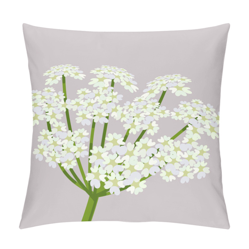 Personality  Daucus Carota, Common Names Wild Carrot, Pillow Covers