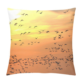 Personality  Snow Geese At Sunset Pillow Covers