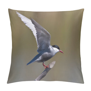 Personality  Scenic View Of Beautiful Bird At Nature Pillow Covers