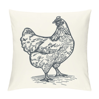 Personality  Quaint Pencil Sketch With Domestic Chicken, Capturing Simplicity And Charm Of Backyard Farming. Touch Of Rustic Appeal, Perfect For Designs Seeking Farm-fresh And Natural Ambiance. Vector Illustration Pillow Covers