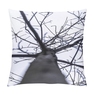 Personality  Stark Beauty Of Nature: Leafless Branches Against Overcast Sky Monochrome Branches: Nature's Intricate Patterns In Winter Bare Tree Silhouette: A Natural Network Against The Pale Sky Pillow Covers