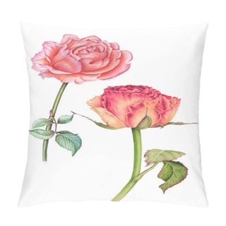 Personality  Set Of Watercolor Botanical Illustrations Depicting Two Delicate Roses Floribunda On A White Background Hand Painted. Pillow Covers