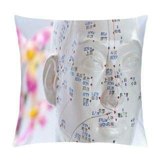 Personality  Acupuncture Head Model Close Up Shot Pillow Covers